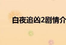 白夜追兇2劇情介紹（白夜追兇2簡(jiǎn)介）
