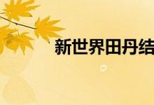 新世界田丹結局（你有看過嗎）