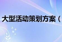 大型活動策劃方案（大型活動策劃方案示例）