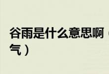谷雨是什么意思?。ü扔晔墙邓饾u增多的節(jié)氣）