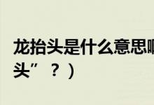 龍?zhí)ь^是什么意思?。ǘ露槭裁唇小褒?zhí)ь^”？）
