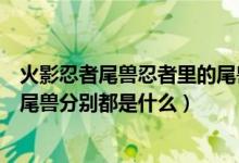 火影忍者尾獸忍者里的尾獸都長什么樣子（火影忍者中九大尾獸分別都是什么）