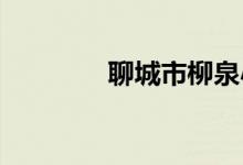 聊城市柳泉小學的地址在哪