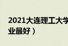 2021大連理工大學(xué)專(zhuān)業(yè)排名及介紹（哪些專(zhuān)業(yè)最好）