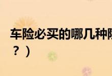 車(chē)險(xiǎn)必買(mǎi)的哪幾種險(xiǎn)（車(chē)輛保險(xiǎn)最好買(mǎi)哪幾種？）