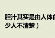 膽汁其實是由人體的哪一個器官分泌的（有多少人不清楚）