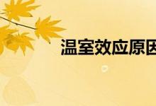 溫室效應原因分析及防止措施