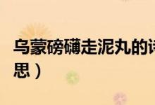 烏蒙磅礴走泥丸的詩(shī)意（烏蒙磅礴走泥丸的意思）