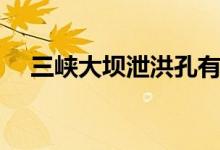 三峽大壩泄洪孔有幾個（三峽大壩簡介）