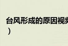 臺風(fēng)形成的原因視頻（臺風(fēng)形成的原因是什么）