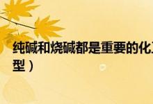 純堿和燒堿都是重要的化工原料（純堿制燒堿是什么反應(yīng)類(lèi)型）