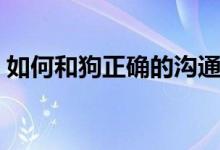 如何和狗正確的溝通（和狗正確的溝通方法）