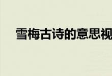 雪梅古詩的意思視頻（雪梅古詩的意思）