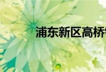 浦東新區(qū)高橋鎮(zhèn)小學的地址在哪