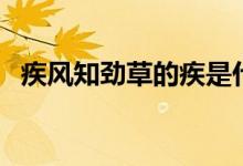 疾風(fēng)知勁草的疾是什么意思（疾風(fēng)知勁草）