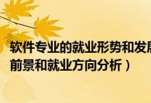 軟件專(zhuān)業(yè)的就業(yè)形勢(shì)和發(fā)展前景（2022年軟件技術(shù)專(zhuān)業(yè)就業(yè)前景和就業(yè)方向分析）