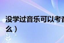 沒(méi)學(xué)過(guò)音樂(lè)可以考音樂(lè)學(xué)院?jiǎn)幔▓?bào)考條件是什么）