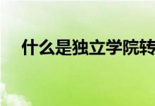 什么是獨立學院轉設（什么是獨立學院）