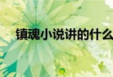 鎮(zhèn)魂小說講的什么（鎮(zhèn)魂小說簡(jiǎn)單介紹）