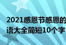 2021感恩節(jié)感恩的的話（2021感恩節(jié)感恩寄語(yǔ)大全簡(jiǎn)短10個(gè)字）