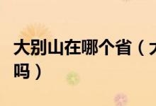 大別山在哪個?。ù髣e山區(qū)是我國的革命老區(qū)嗎）