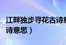 江畔獨(dú)步尋花古詩意思解釋(江畔獨(dú)步尋花古詩意思)