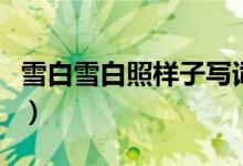 雪白雪白照樣子寫(xiě)詞語(yǔ)（四個(gè)字的疊詞有哪些）