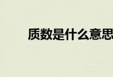 質數(shù)是什么意思（關于質數(shù)的解析）