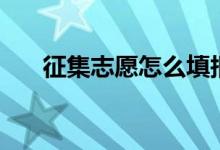征集志愿怎么填報(bào)流程（方法是什么）