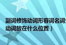 副詞修飾動(dòng)詞形容詞名詞分別放什么位置（英語中副詞修飾動(dòng)詞放在什么位置）