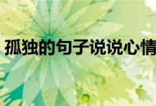 孤獨(dú)的句子說(shuō)說(shuō)心情（孤獨(dú)的句子句句戳心）