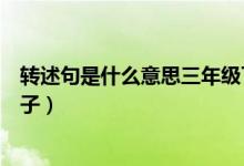 轉述句是什么意思三年級下冊第幾課（轉述句是什么意思例子）