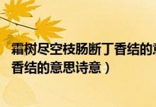 霜樹盡空枝腸斷丁香結(jié)的意思詩意20字(霜樹盡空枝腸斷丁香結(jié)的意思詩意)