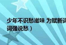少年不識(shí)愁滋味 為賦新詞強(qiáng)說(shuō)愁（少年不知愁滋味 為賦新詞強(qiáng)說(shuō)愁）