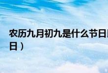 農(nóng)歷九月初九是什么節(jié)日民俗活動(dòng)（農(nóng)歷九月初九是什么節(jié)日）