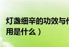燈盞細辛的功效與作用（燈盞細辛的功效與作用是什么）