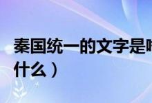 秦國(guó)統(tǒng)一的文字是啥文字（秦國(guó)統(tǒng)一的文字叫什么）
