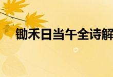 鋤禾日當午全詩解釋（鋤禾日當午全詩）
