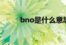 bno是什么意思（bno意思簡(jiǎn)述）