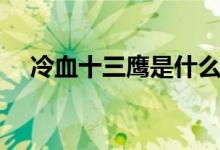 冷血十三鷹是什么電視?。阌锌催^(guò)嗎）