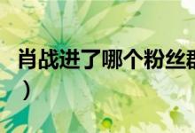 肖戰(zhàn)進了哪個粉絲群（肖戰(zhàn)官方粉絲群怎么進）