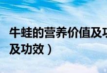 牛蛙的營(yíng)養(yǎng)價(jià)值及功效（牛蛙有什么營(yíng)養(yǎng)價(jià)值及功效）