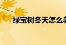 綠寶樹(shù)冬天怎么養(yǎng)（如何養(yǎng)殖綠寶樹(shù)）