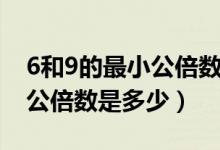 6和9的最小公倍數(shù)和最大因數(shù)（6和9的最小公倍數(shù)是多少）