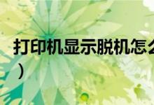 打印機顯示脫機怎么辦（接下來就與大家分享）