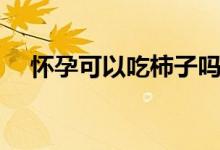 懷孕可以吃柿子嗎(孕婦能不能吃柿子)