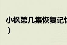 小楓第幾集恢復記憶的（小楓第幾集恢復記憶）