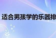 適合男孩學(xué)的樂(lè)器排名（學(xué)什么樂(lè)器比較好）