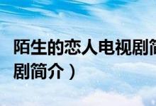 陌生的戀人電視劇簡介（關(guān)于陌生的戀人電視劇簡介）