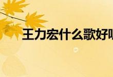 王力宏什么歌好聽（王力宏歌手簡(jiǎn)介）
